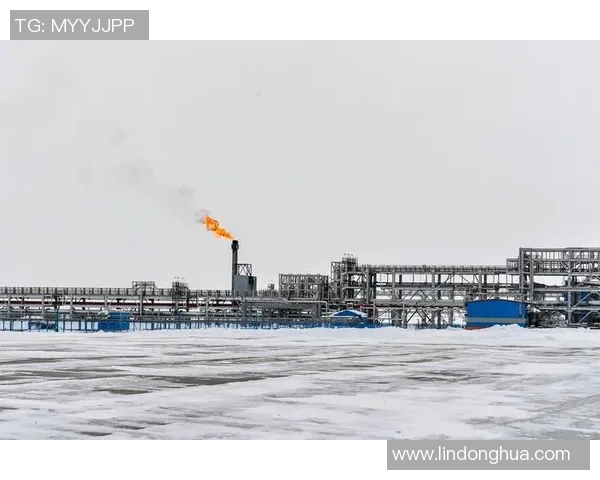 亚马尔地区的资源开发与国际合作前景分析与展望