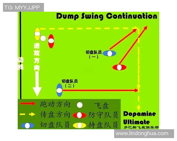 飞盘之旅：深入分析深圳飞盘队成员的独特技能与战术配合